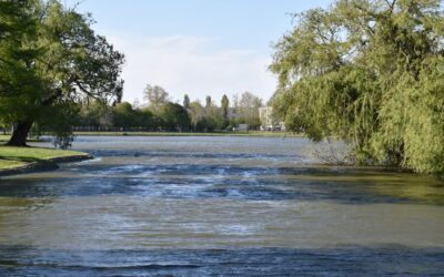 Levegőztetik a Csónakázó, a Bregyó és a Palotavárosi tavakat, tisztítják a Malom-csatornát