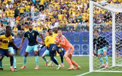 Foci vb: Dél-afrikai és ecuadori bravúr, német, cseh és koreai blama, brazil, marokkói és elefántcsontparti győzelem