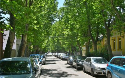 Ismét egyirányú a forgalom a Gyümölcs utcában