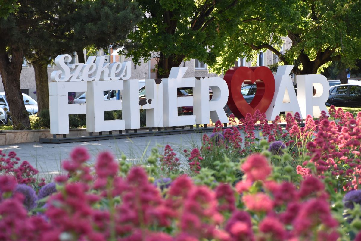 Fehervar_szelfipont_viragos