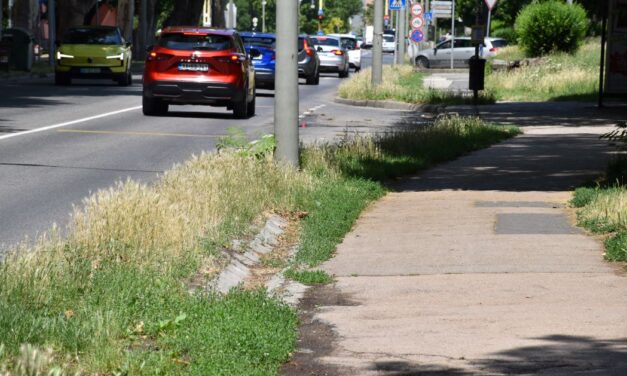 Járdafelújítás a Lövöldén – két hétig nem áll meg a 33-as a buszmegállóban