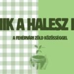 Őszi pikniket rendez hétfőn a Haleszban a Fehérvári Zöld Közösség