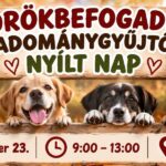 Örökbefogadó és adománygyűjtő nyílt nap lesz pénteken az ASKA menhelyen