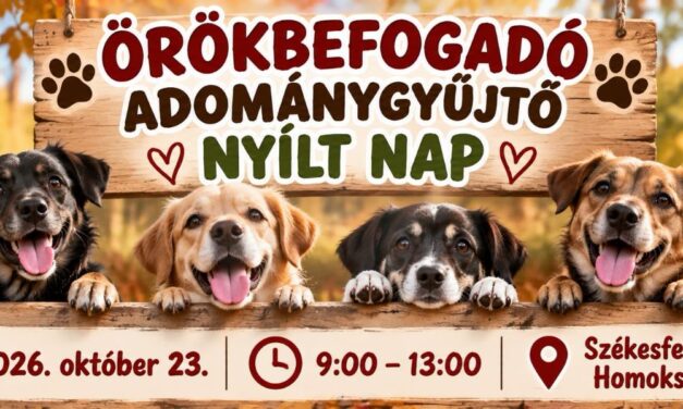 Örökbefogadó és adománygyűjtő nyílt nap lesz pénteken az ASKA menhelyen